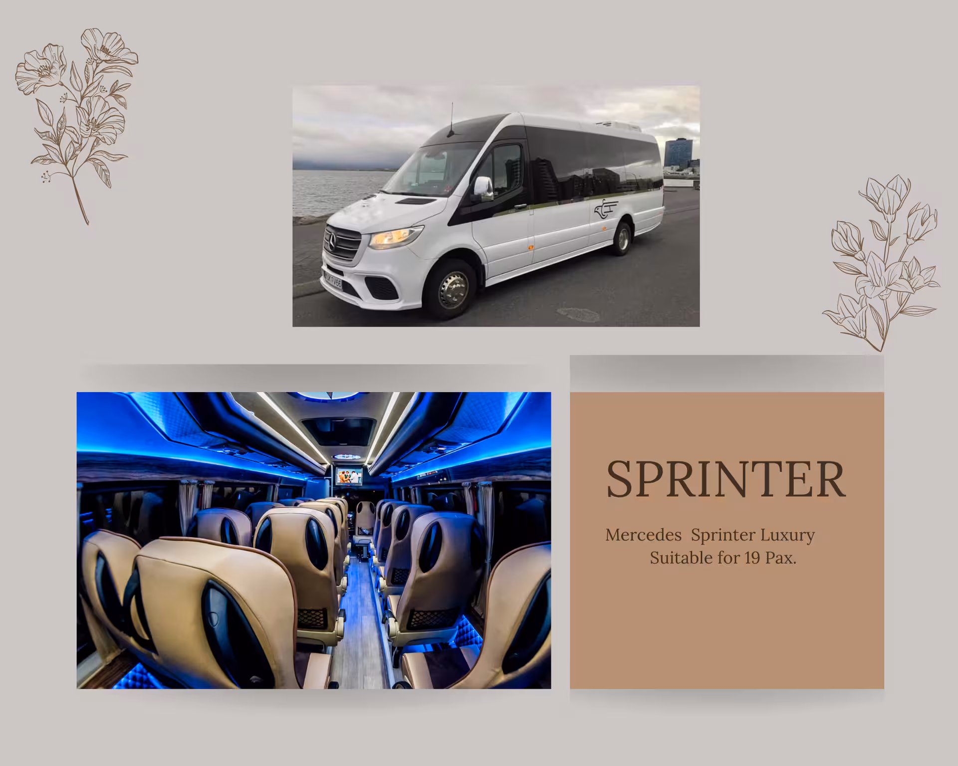 White Mercedes Sprinter luxury minibus exterior and blue-lit interior seating for 19 passengers