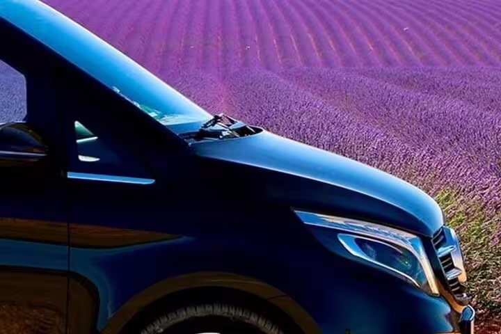 Dark blue Mercedes van parked beside vibrant purple lavender fields in Provence, France