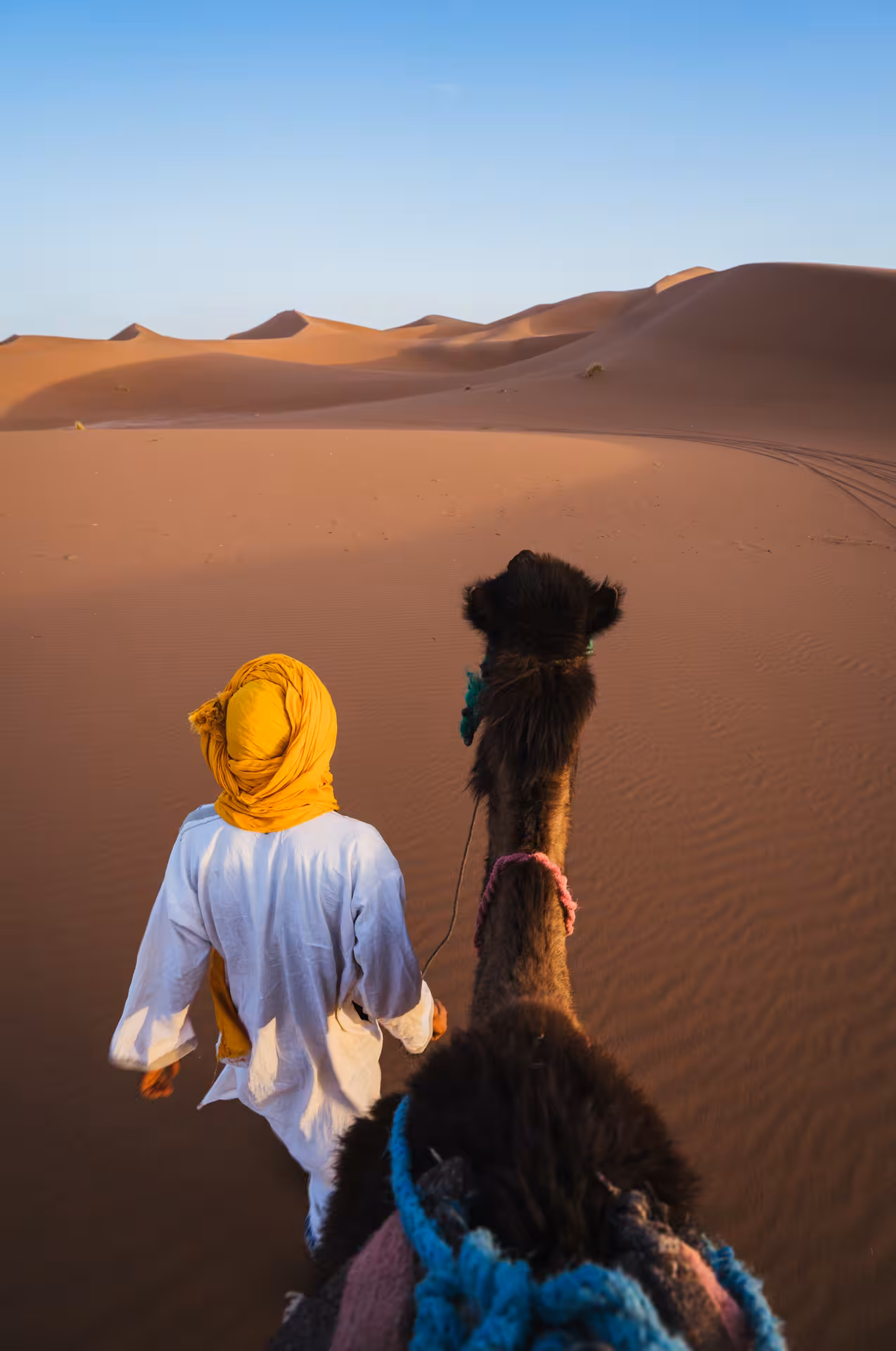 Merzouga Sahara desert camel trek at sunset, golden Erg Chebbi dunes on Timeless Morocco tour