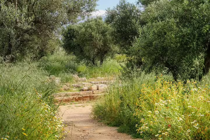 Tranquil stone path surrounded by lush greenery and wildflowers in Meskla's serene environment.
