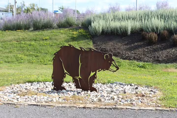 Rusty metal bear sculpture on rocky ground with green landscaping in Ottawa city