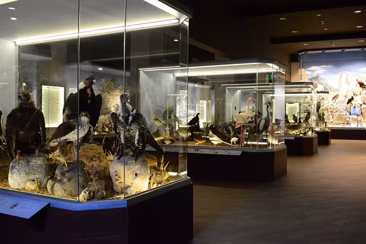 Natural history museum displays near Delphi stop on Meteora and Delphi 2-day private tour from Athens