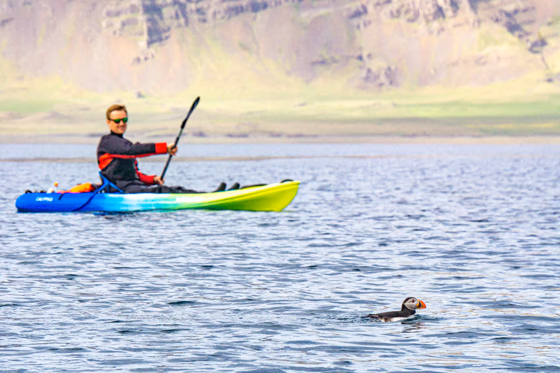 Kayaker paddles near a puffin during a scenic midnight kayaking tour with stunning coastal views.