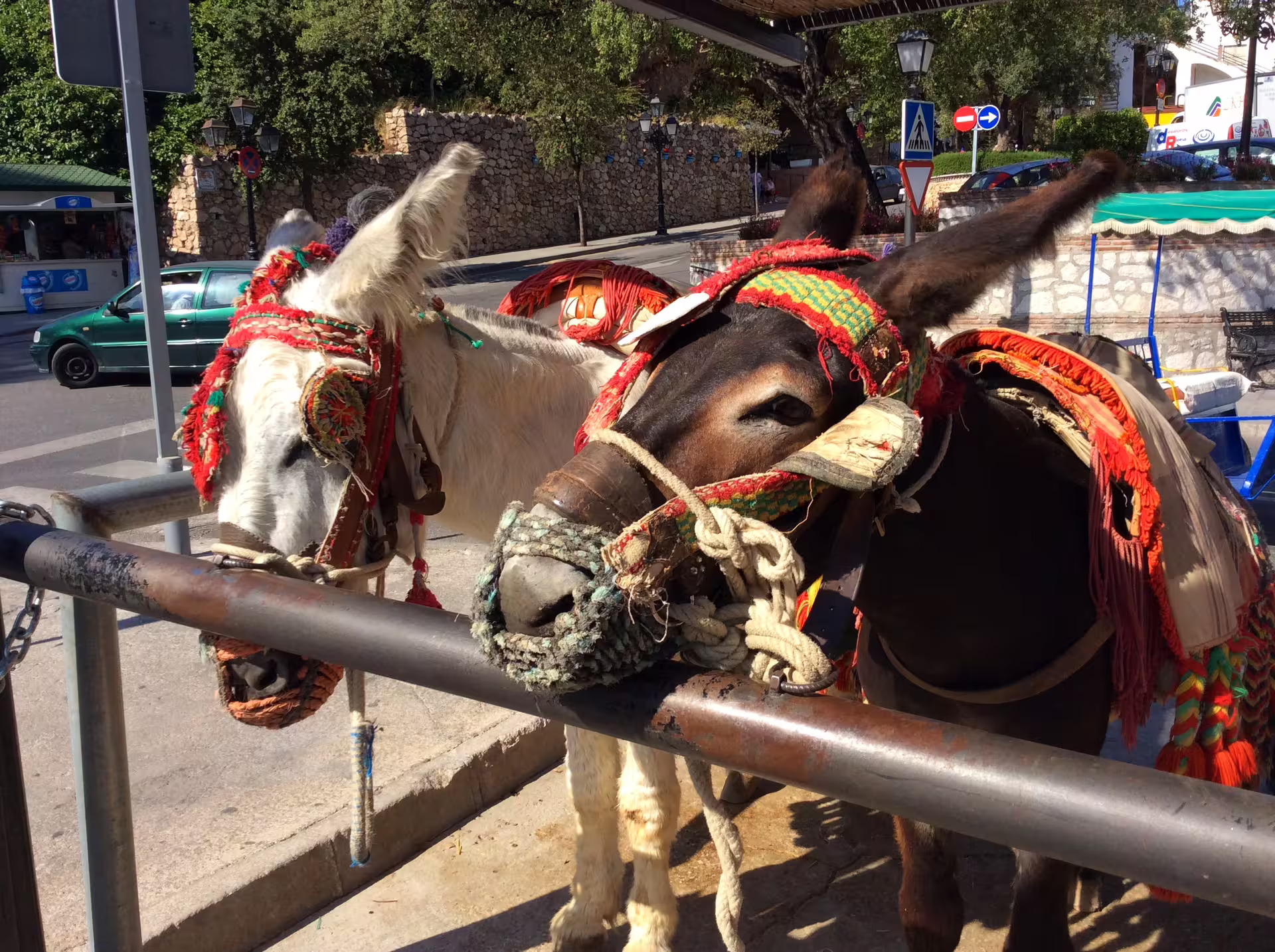 Decorated donkey taxis in Mijas Pueblo, a highlight stop on the Mijas group walking tour in Andalusia