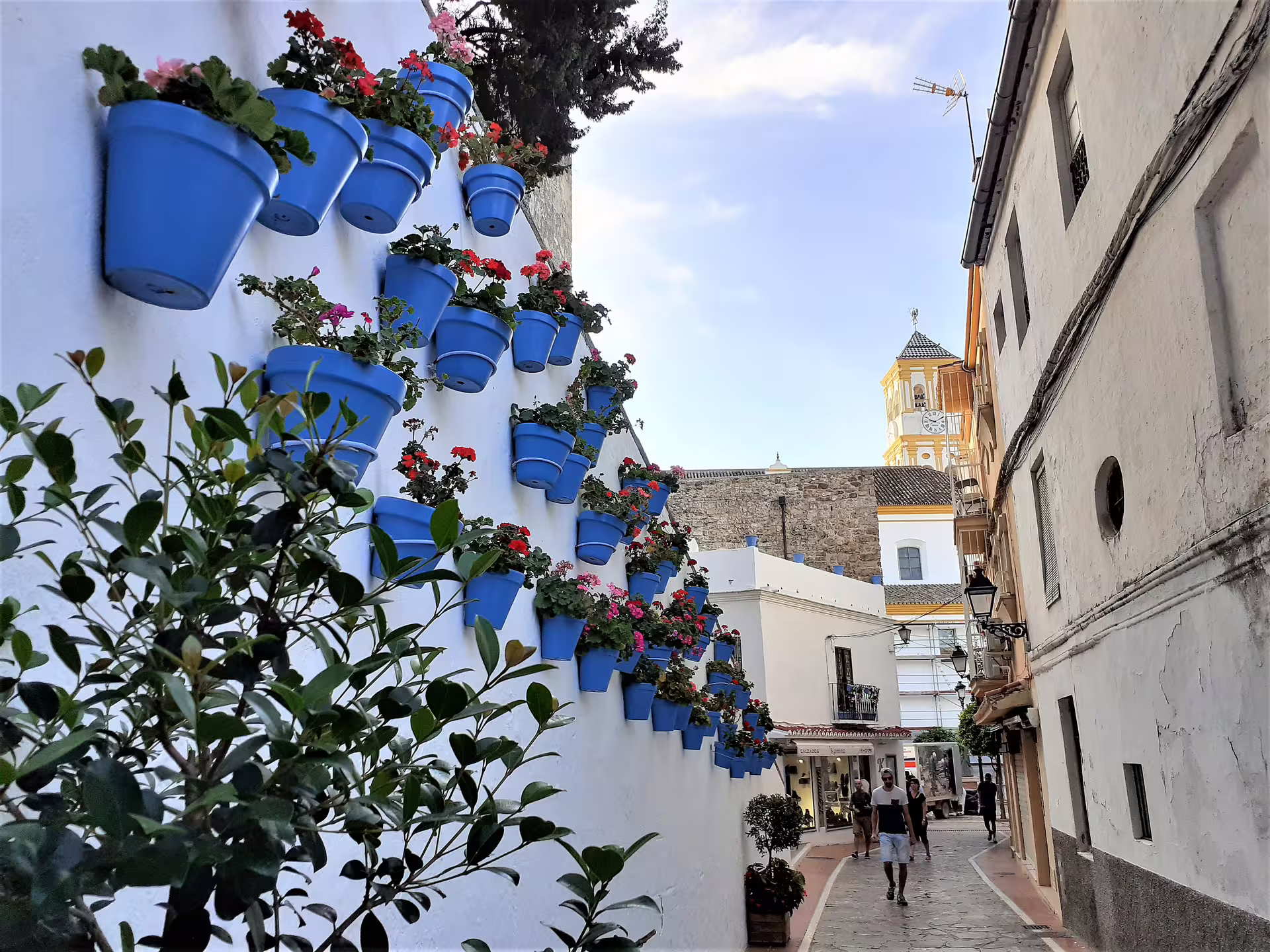 Mijas Pueblo street with blue flower pots and white walls, scenic stop on Marbella and Mijas private day tour