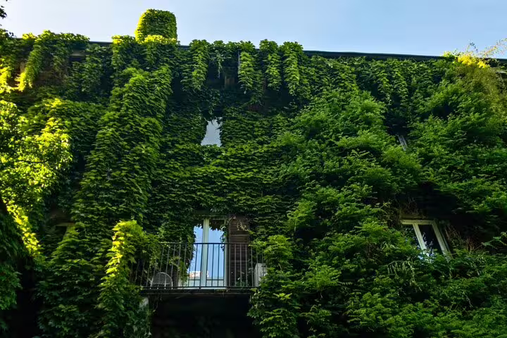 ivy-covered building facade with balcony in Milan Brera neighborhood