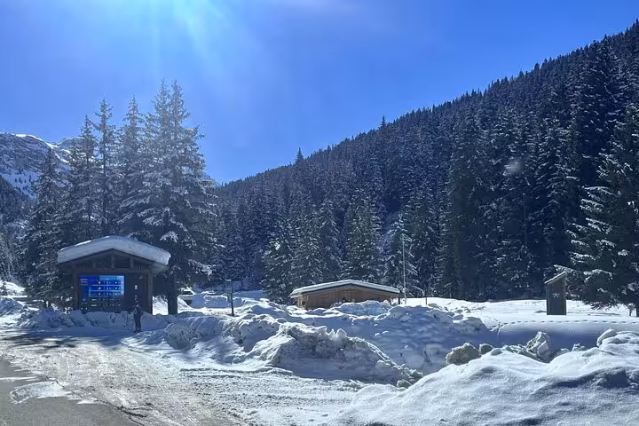 Sunny winter day in Courchevel with snow-covered trees, perfect backdrop for Milan to Courchevel transfers.