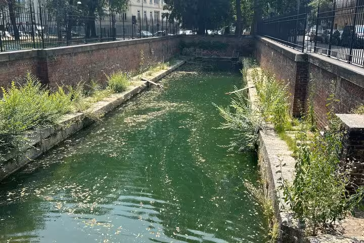 Green algae-covered canal with brick walls and overgrown vegetation in Milan Navigli district
