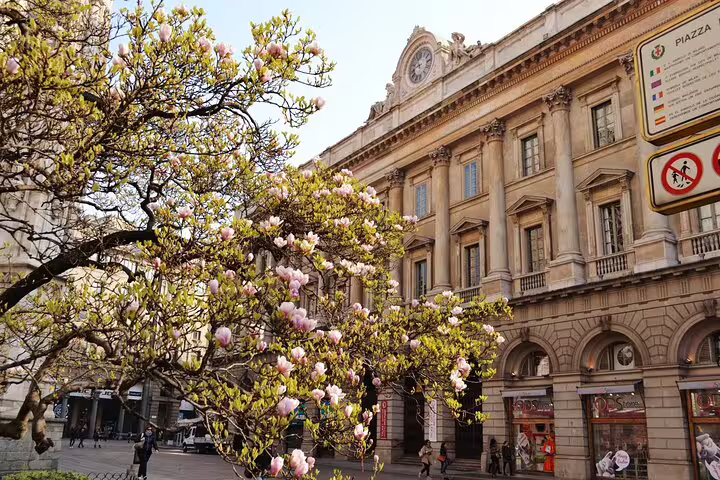 Blooming magnolia tree in front of a neoclassical building at a Milan piazza in spring