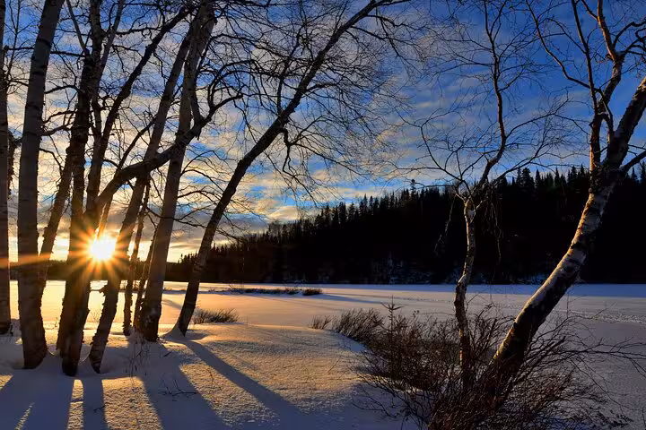 Sunset casting shadows through trees on a snowy field en route from Milan to Zermatt Tasch.