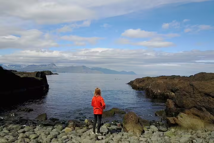 Person in red jacket standing on rocky shore overlooking calm fjord waters with mountains in East Iceland