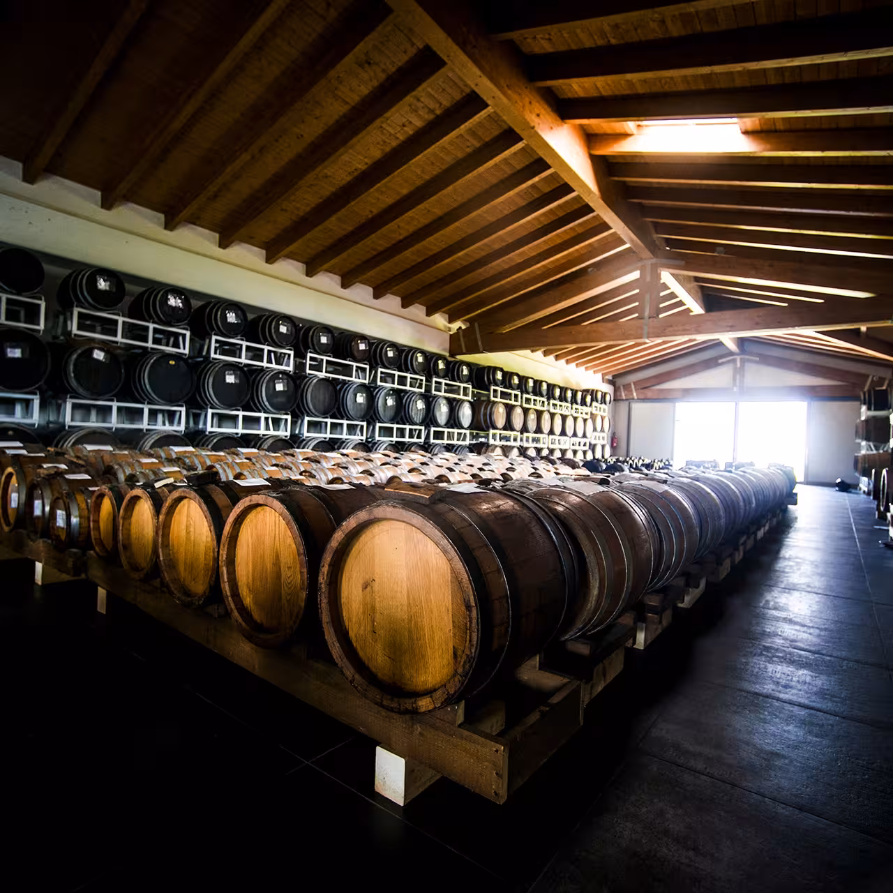 Barrel room at a Modena balsamic vinegar producer, part of acetaia tour with Parmigiano and gelato tasting