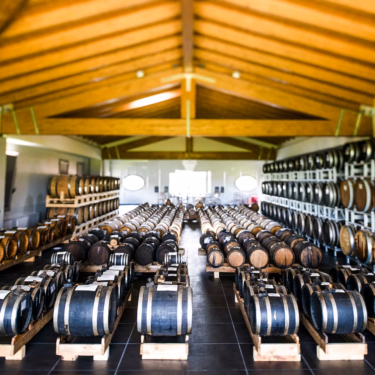 Rows of wooden barrels aging traditional balsamic vinegar in Modena acetaia on food tour with tastings