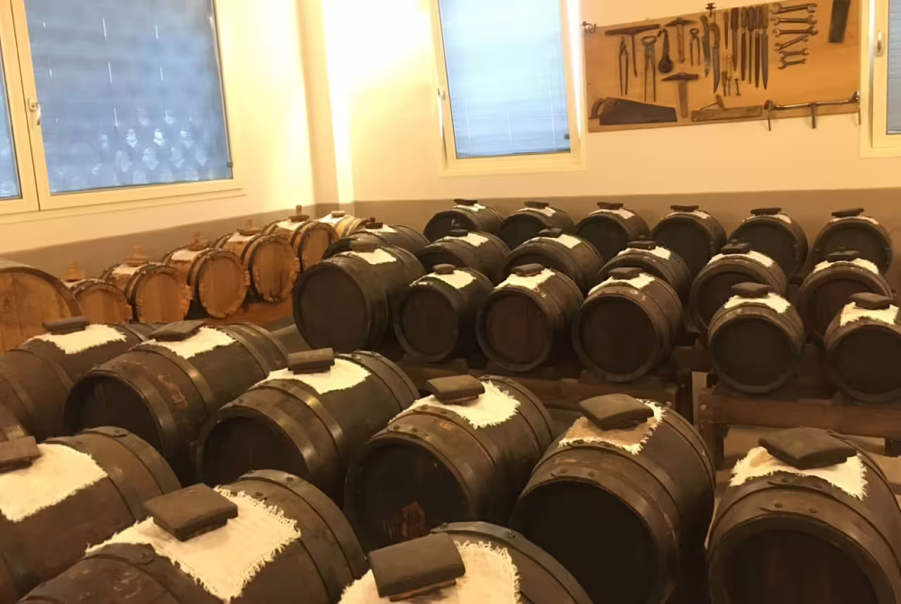 Rows of aging barrels in a Modena vinegar cellar on balsamic vinegar tour with tasting and aperitif