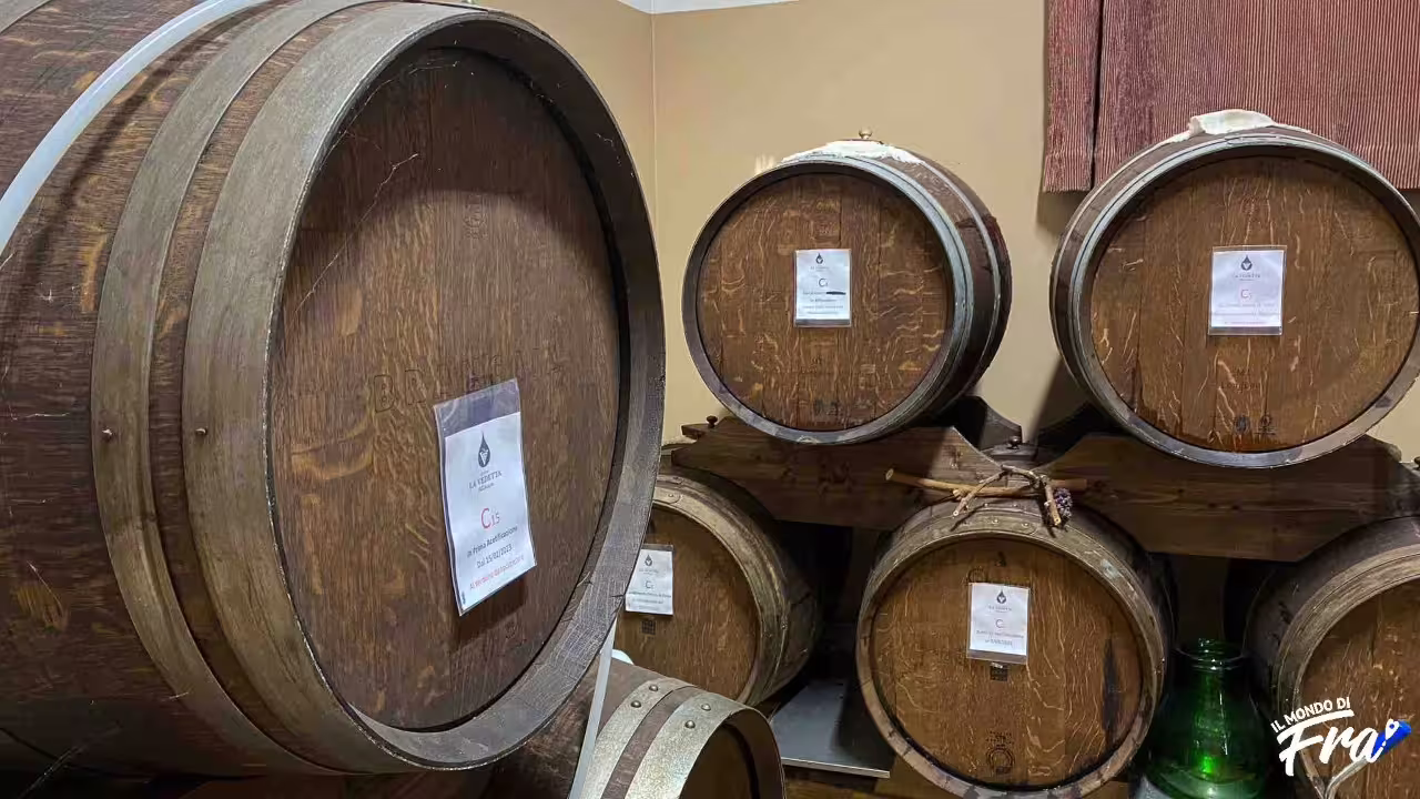 Wooden barrels in Modena acetaia during traditional balsamic vinegar cellar visit and guided tasting