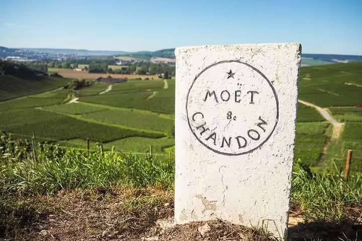 Moët & Chandon marker overlooking Champagne vineyards on a full-day private guided tour with hotel pickup