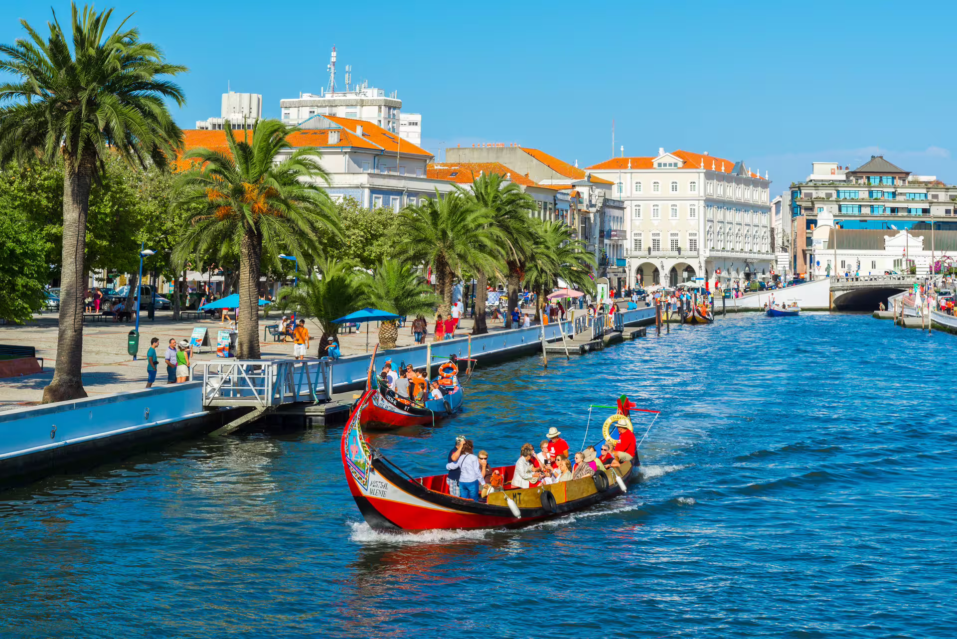 Colorful moliceiro boat cruising the picturesque canals of Aveiro, surrounded by vibrant cityscape and palm trees.