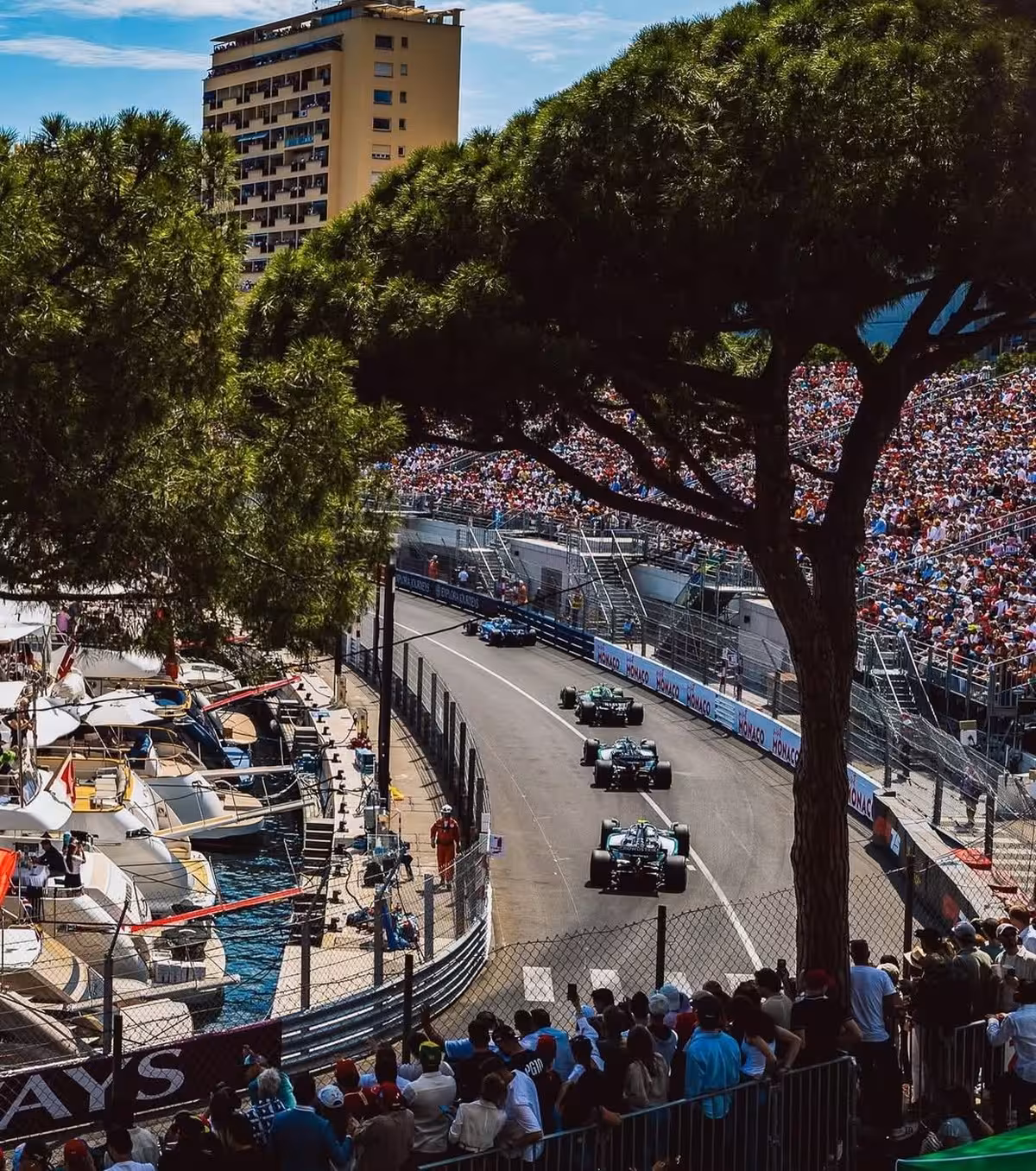 Formula 1 cars racing through Monaco street circuit with packed grandstands and harbor yachts visible