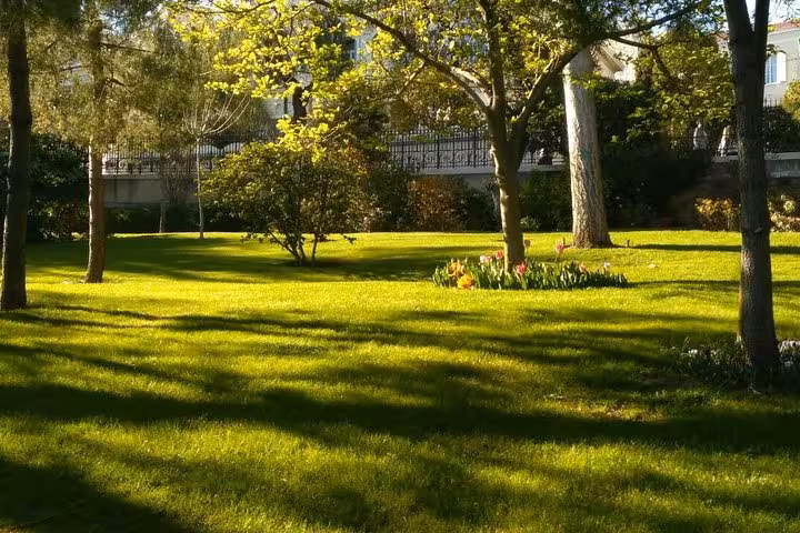 Sunlit park with green lawn, tall trees, and colorful flower beds in Monaco