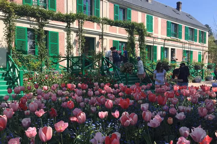 Pink tulips blooming in Monet's garden at Giverny with the iconic pink and green house in background