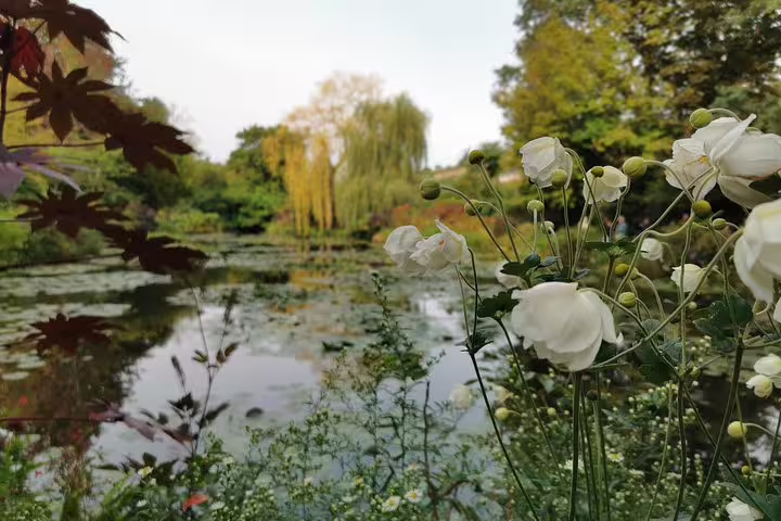Monet’s water lily pond and weeping willow in Giverny gardens on a private day tour from Paris