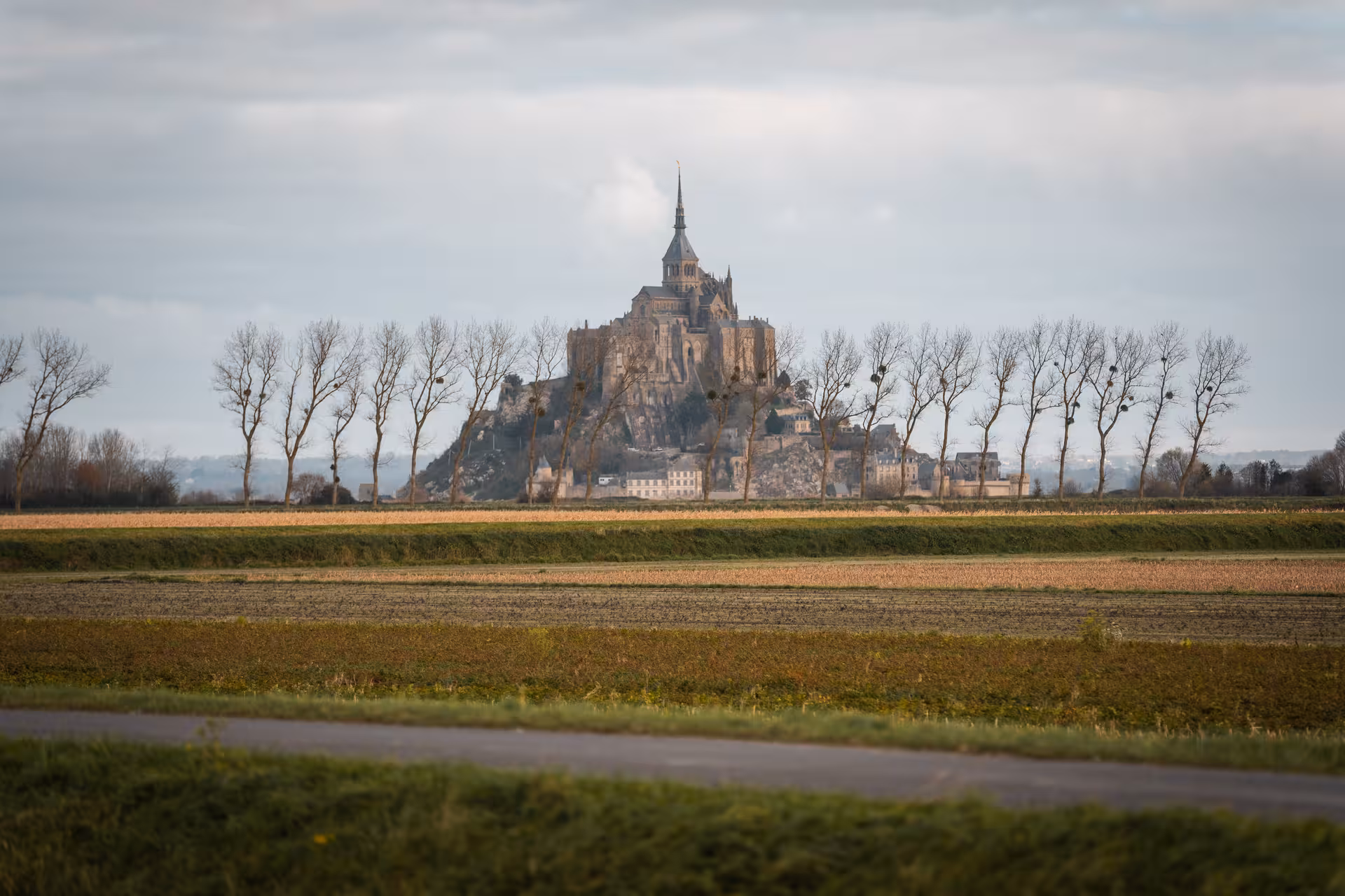 Mont Saint Michel abbey rising above flat Norman farmlands and bare winter trees under overcast skies