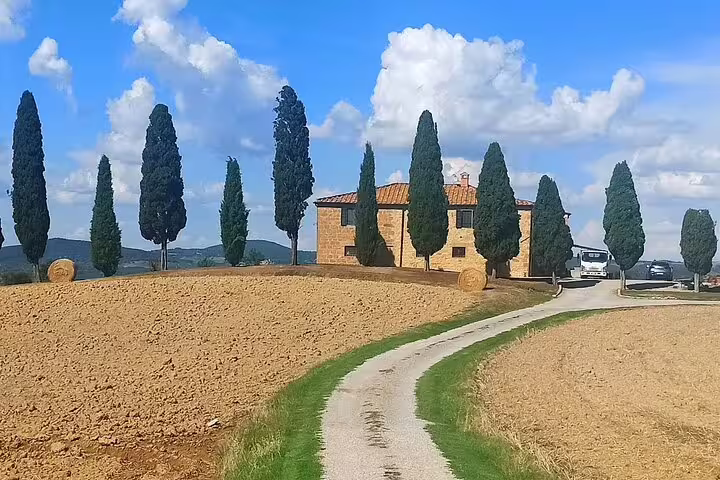 Cypress-lined country road leading to farmhouse in the rolling vineyards of Montalcino on a Brunello wine tour