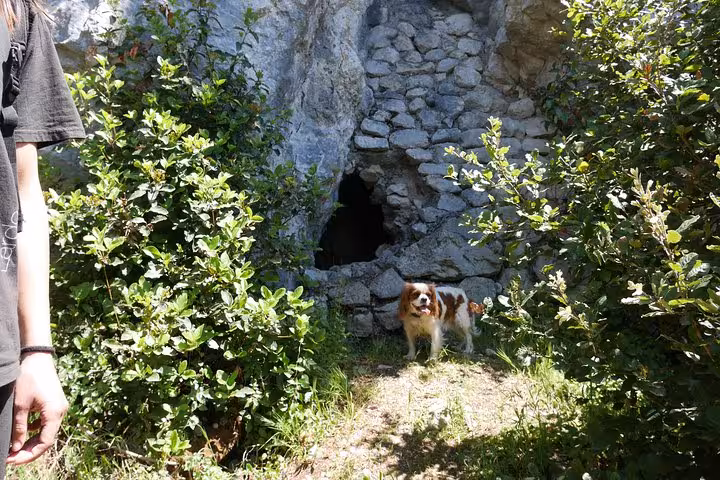 A dog stands near a historic stone cave entrance on the Monte Cassino battlefield hiking trail