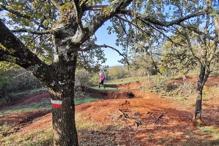 Hiker walking along marked red-soil trail through trees on Monte Cassino historic battlefield mule track