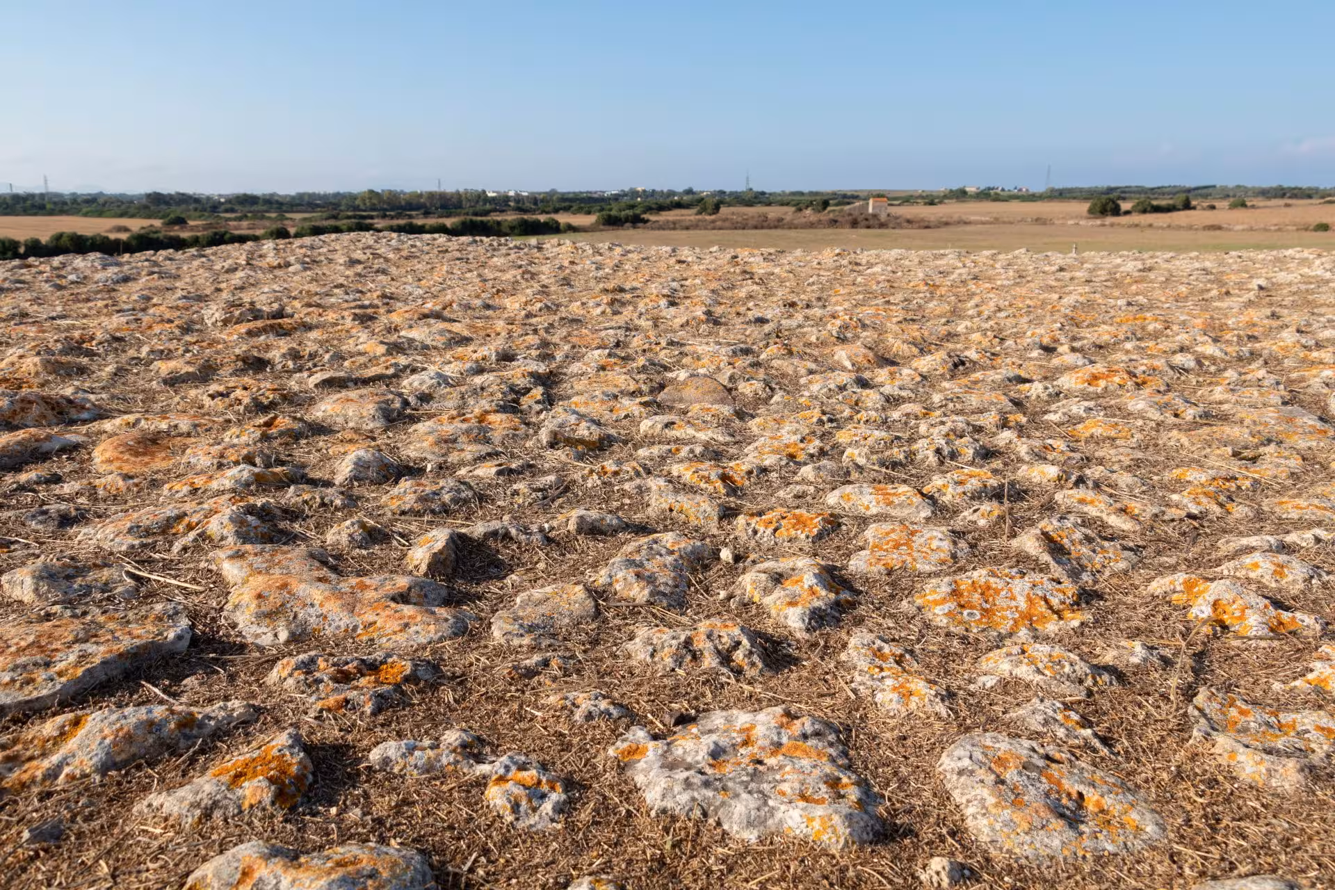 Expansive view of ancient stone surface at Monte d'Accoddi, Porto Torres, ideal for archaeological exploration.
