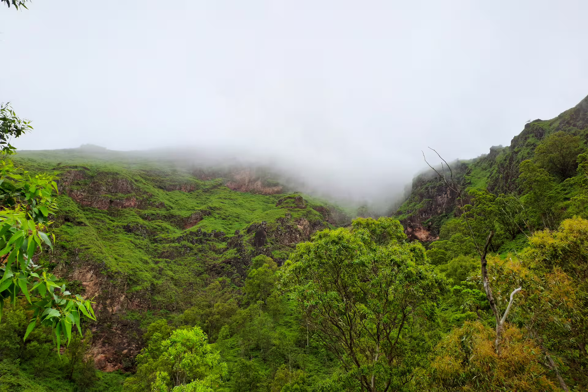 Fog envelops the lush green peaks of Monte Tchota Natural Park, offering a serene hiking experience.