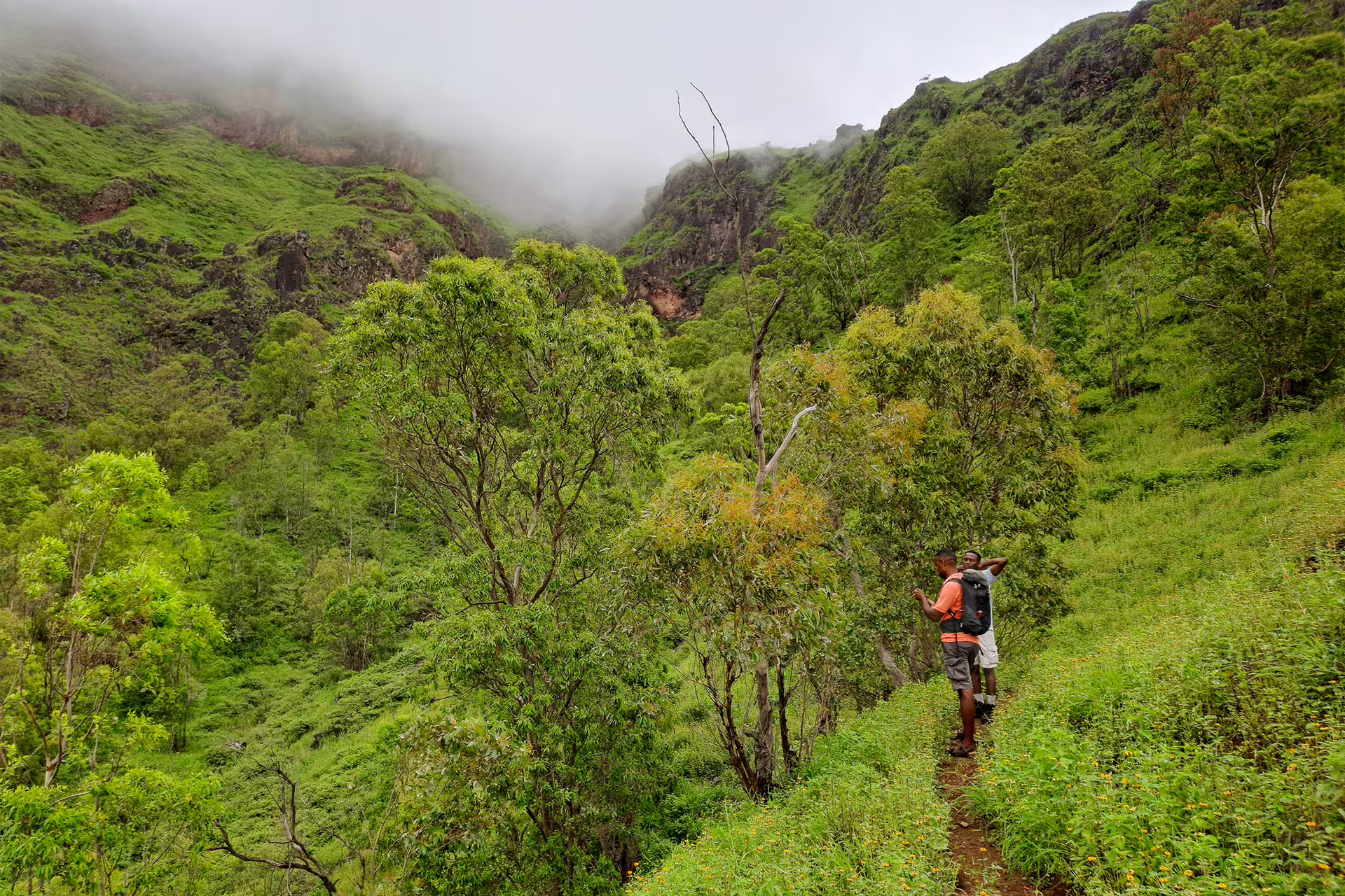 Hikers explore Monte Tchota's lush green trails en route to Santiago’s highest summit, Pico D'Antónia.
