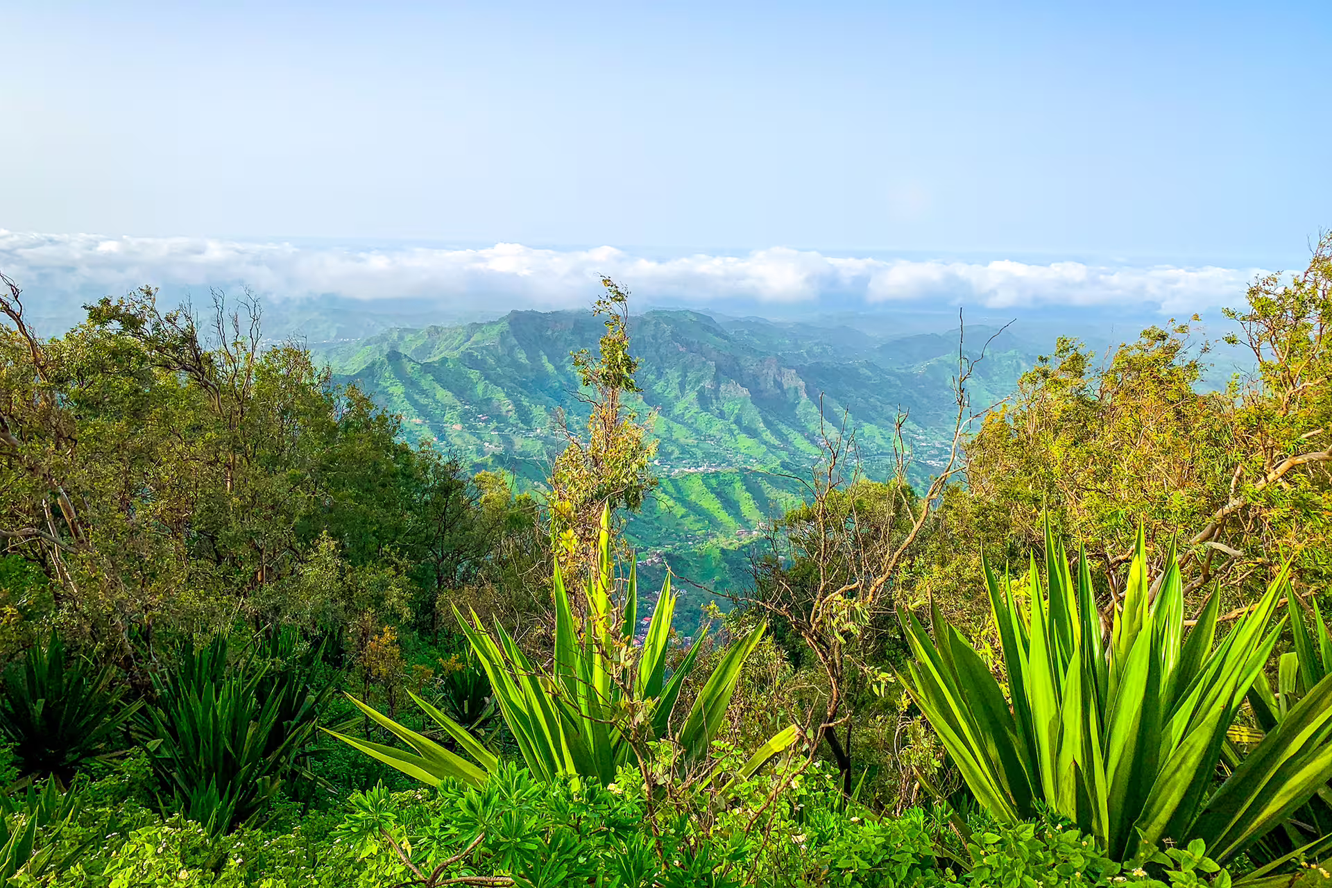 Lush greenery and expansive views from Monte Tchota Natural Park, showcasing the vibrant landscape of Santiago.