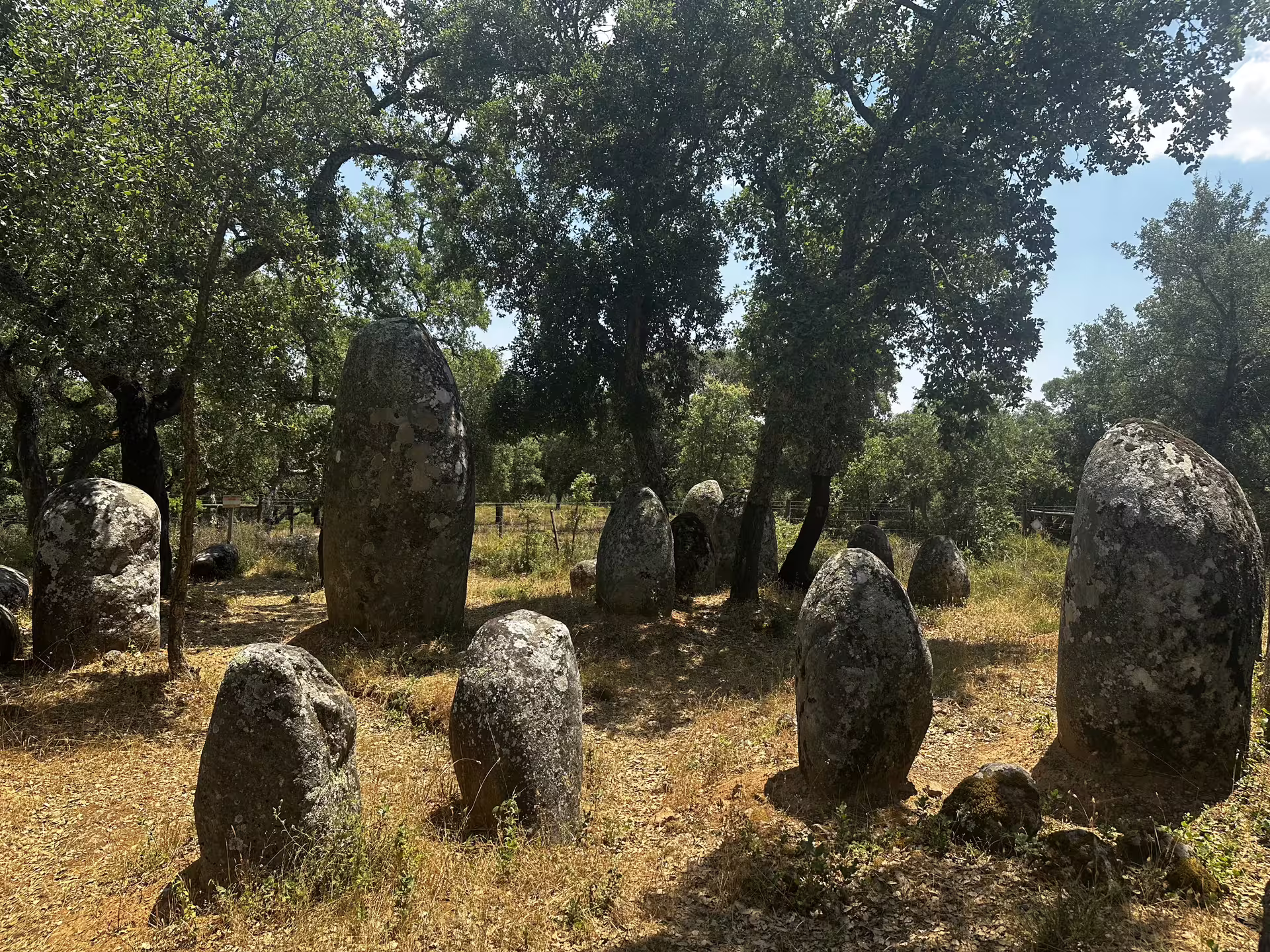 Ancient standing stones surrounded by lush greenery in Montemor-o-Novo, showcasing Portugal's prehistoric heritage.