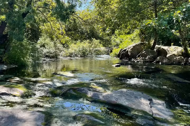 Tranquil river view with vibrant trees and rocks, featured in the Montemor-o-Novo hiking tour with lunch.