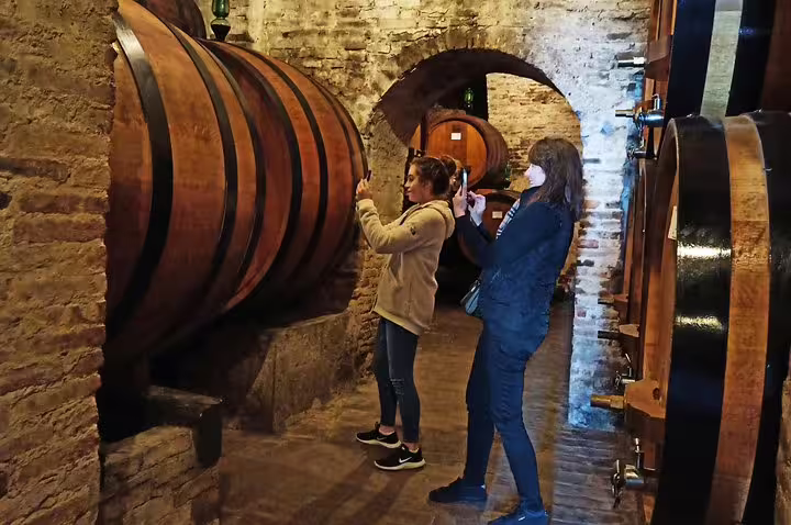 Visitors photograph giant oak barrels inside a historic Montepulciano wine cellar on a guided Tuscan art and wine tour