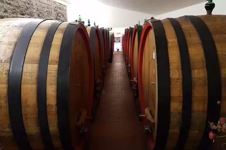 Cantina a Montepulciano con botti di rovere per degustazione di Vino Nobile, tour Toscana da Firenze