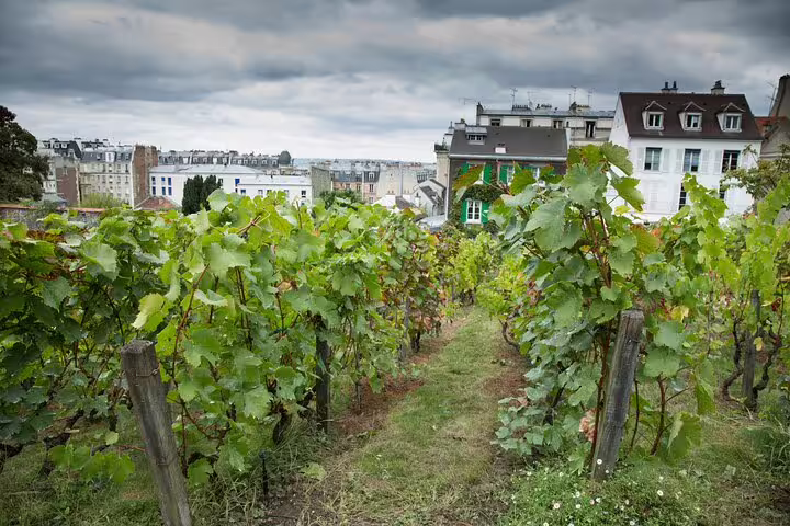 Lush vineyard in Montmartre with charming Parisian rooftops under a cloudy sky, featured in a full-day Paris private tour.