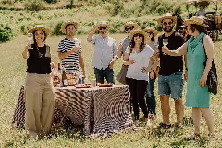 Group enjoying wine tasting at a sunny vineyard in Penedes during Montserrat private tour, featuring lunch and local wines.