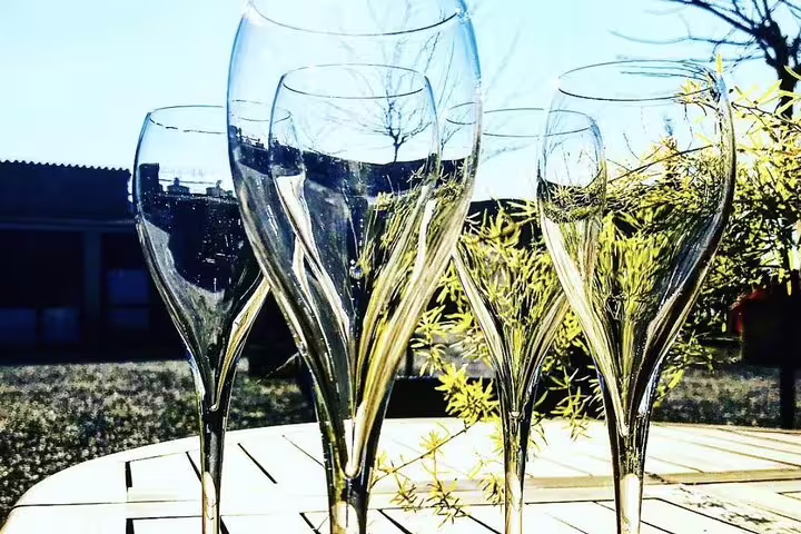Elegant wine glasses reflecting sunlight, perfect for a private Montserrat tour and organic winery experience.
