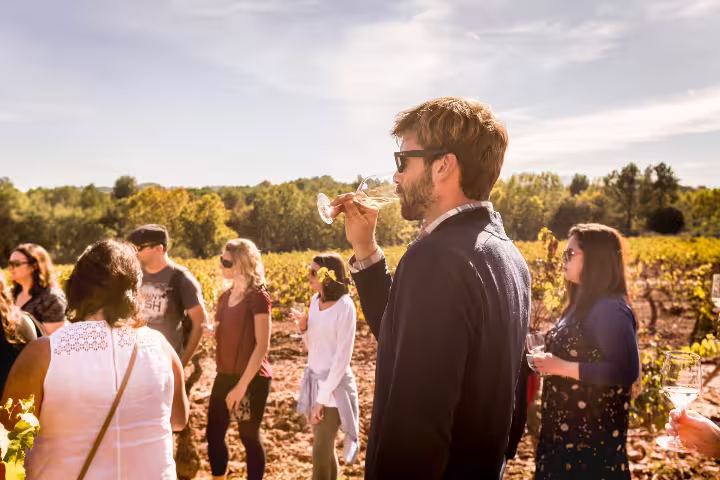 Tourists enjoying wine tasting in a scenic vineyard during the Extended Montserrat, Tapas & Wine with Cogwheel Train experience.