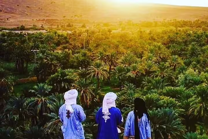 Travelers overlooking lush Draa Valley palm oasis at sunset on Morocco 12 day tour from Tangier itinerary
