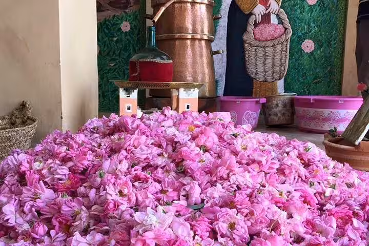 Rose petals at a Kelaat M’Gouna distillery, fragrant stop on Morocco 11-day tour from Casablanca via Sahara