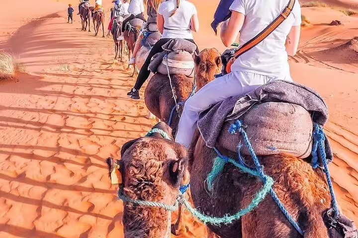 Sahara camel trek in Erg Chebbi dunes, a highlight of the Morocco 9 days tour from Tangier to Marrakech