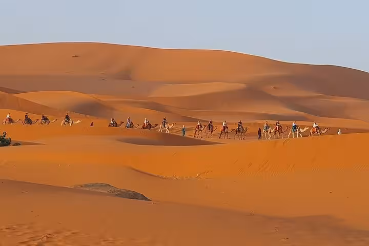 A caravan of camels and tourists traversing the golden dunes of the Sahara on a 5-day Morocco desert tour.