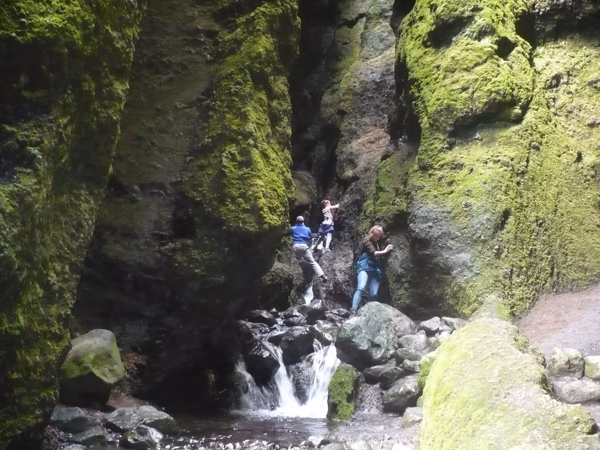Hikers climbing mossy rock canyon with small waterfall in Iceland's Eastfjords