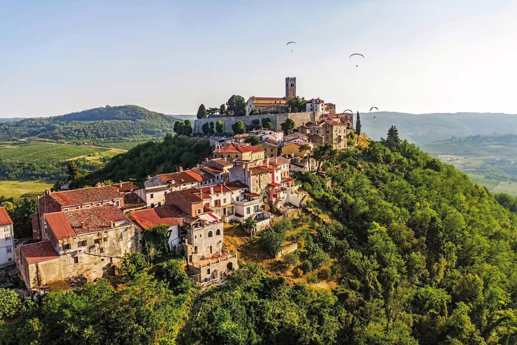 Aerial view of hilltop Motovun, Istria, on a half-day tour with truffle and local brandy tasting