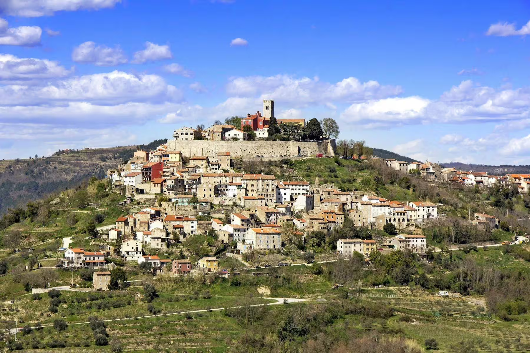 Panoramic view of hilltop Motovun, Istria, on a half-day trip with truffle and local brandy tasting
