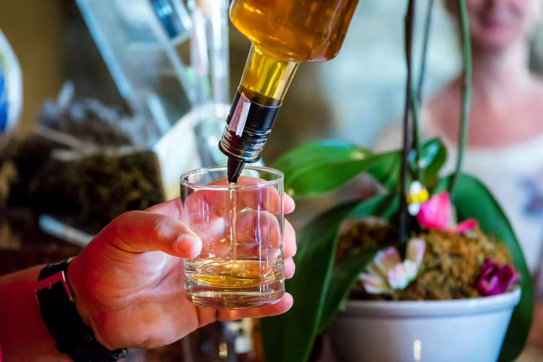 Pouring Istrian rakija brandy during Motovun truffle and local brandies tasting on a half-day tour
