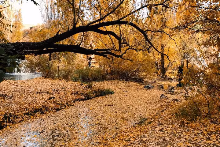 Autumn riverside trail near Mount Ararat route, scenic warm forest stop on 7-day private trekking tour